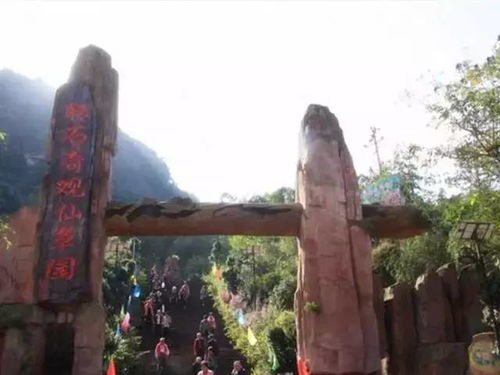 飛向貴州紅色雙飛6日游 山東成團