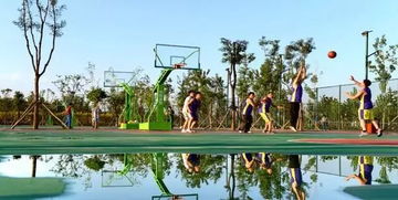 關(guān)于云中河景區(qū)西北運動場提升改造的公告