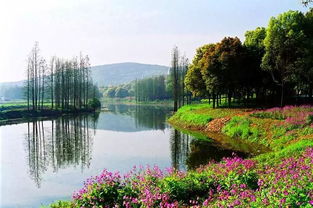 國慶個別景區(qū)門票明降暗升 進景區(qū)后每項都單收費