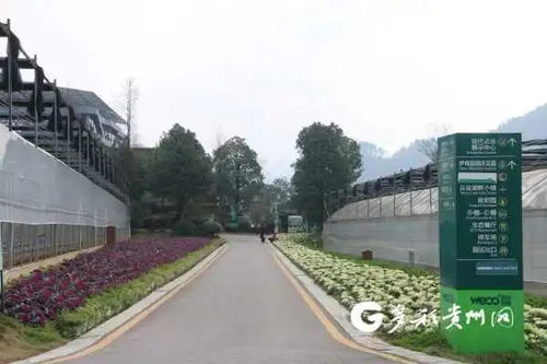 貴州多個景區(qū)陸續(xù)開園，游覽時園區(qū)管理服務(wù)與注意事項詳解